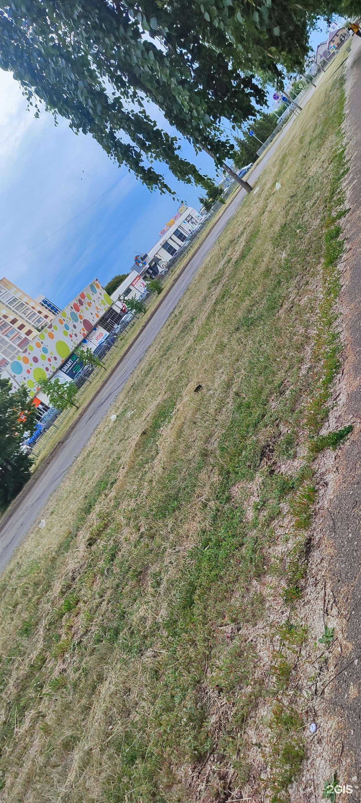 Отзывы на компанию Алсу в Набережных Челнах c фото - фотография 2 из 2