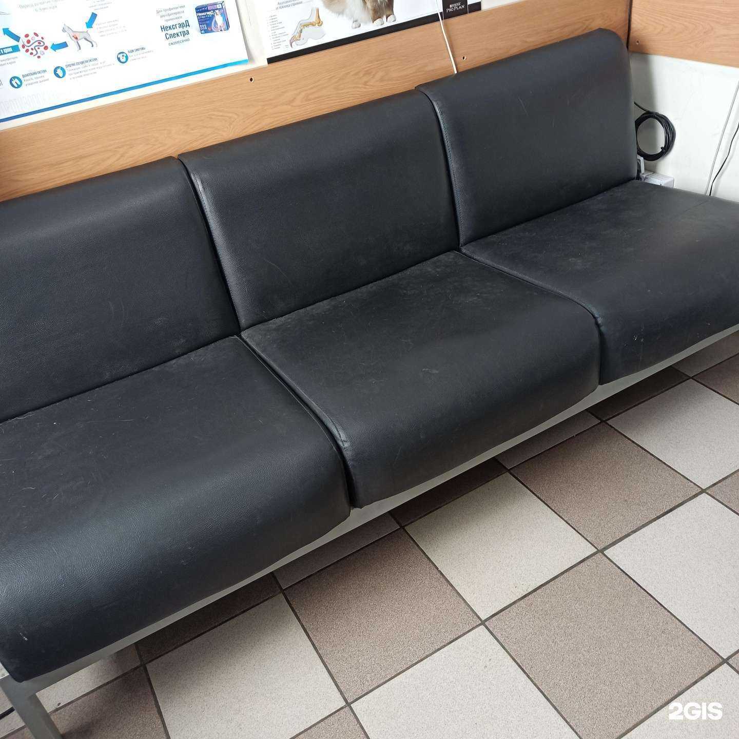 Отзывы на компанию PetHealer в Химках c фото