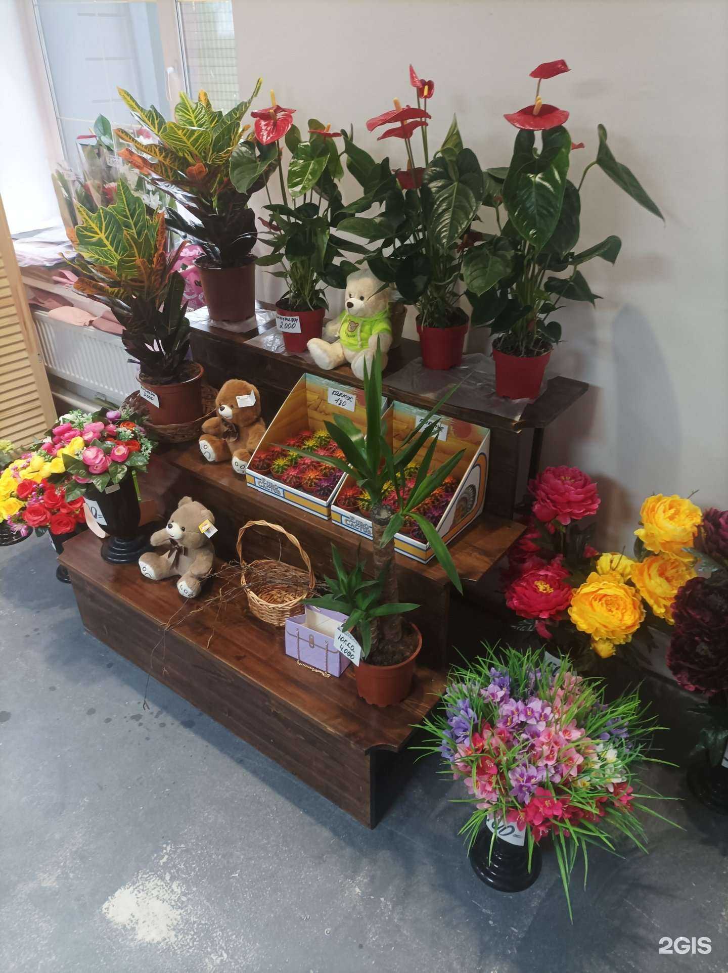 Отзывы на компанию Flower shop в Серпухове c фото