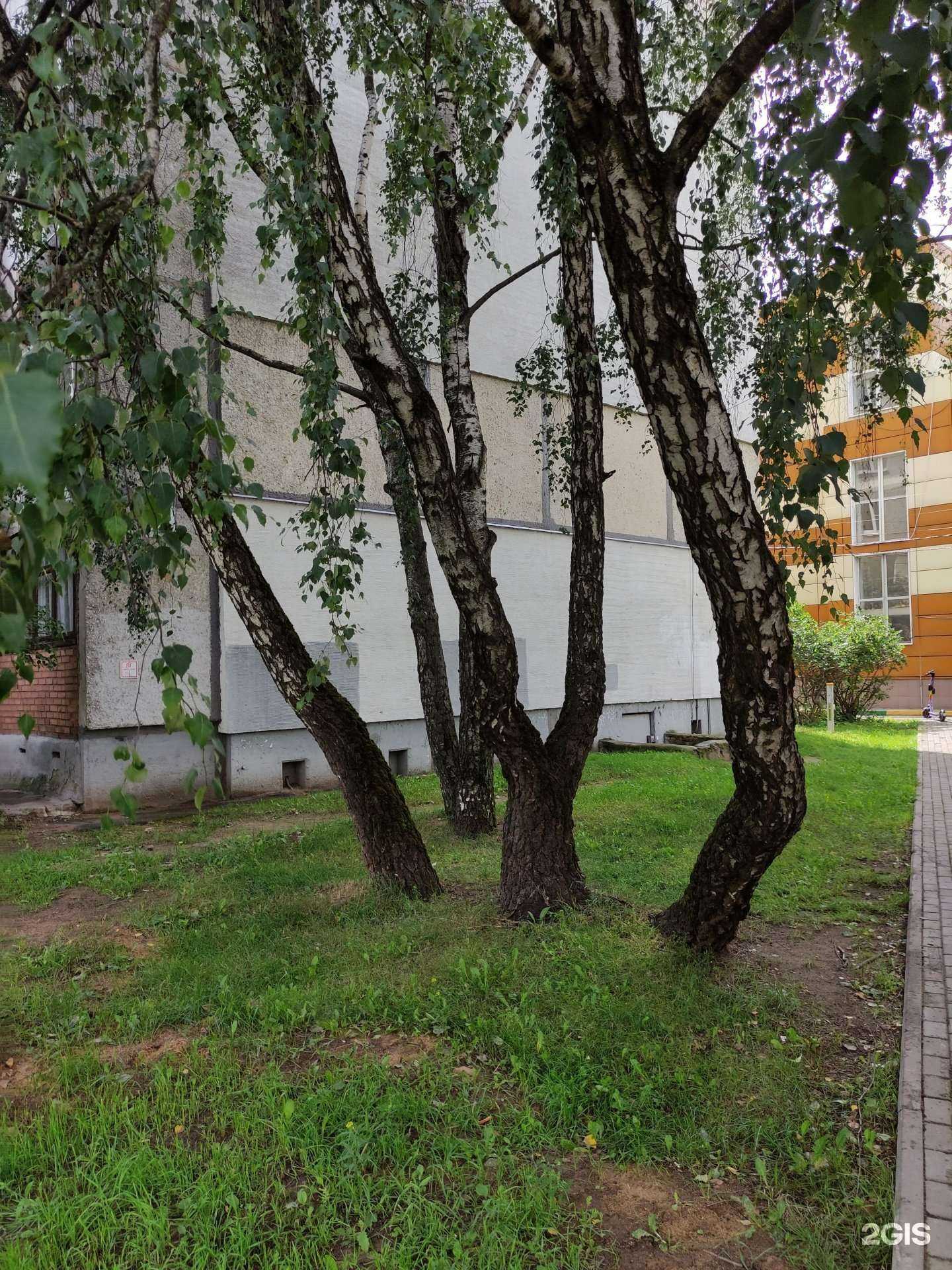 Отзывы на компанию Адвокат Ковзик А.О. в г. Балашиха c фото