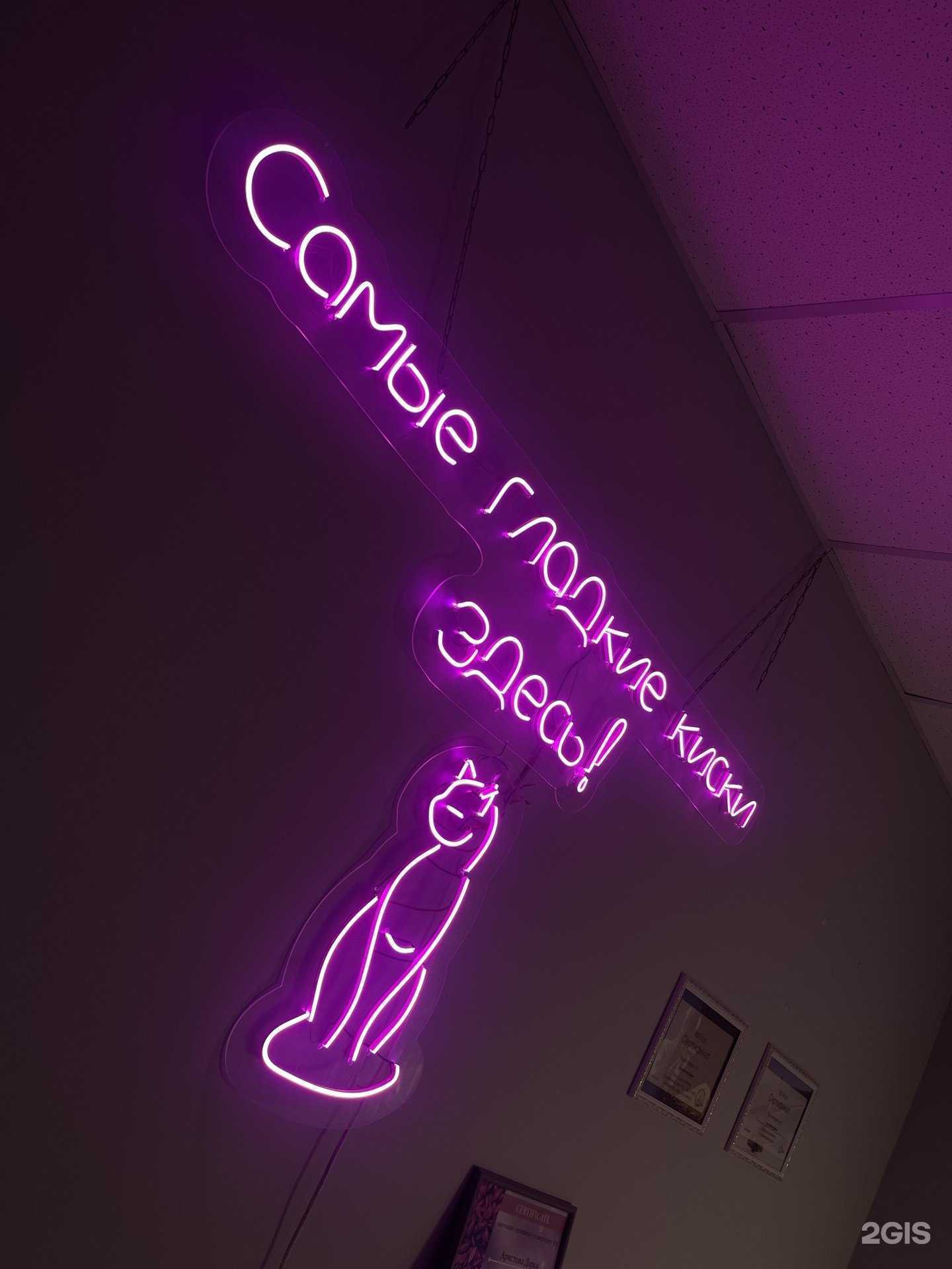 Отзывы на компанию Гладкие киски в Петропавловске-Камчатском c фото