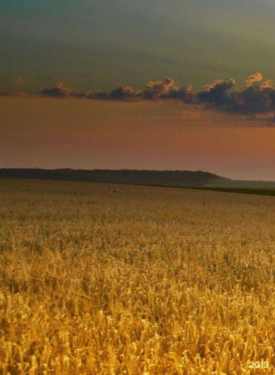 Отзывы на компанию Армавирский ПЖТ в Армавире c фото