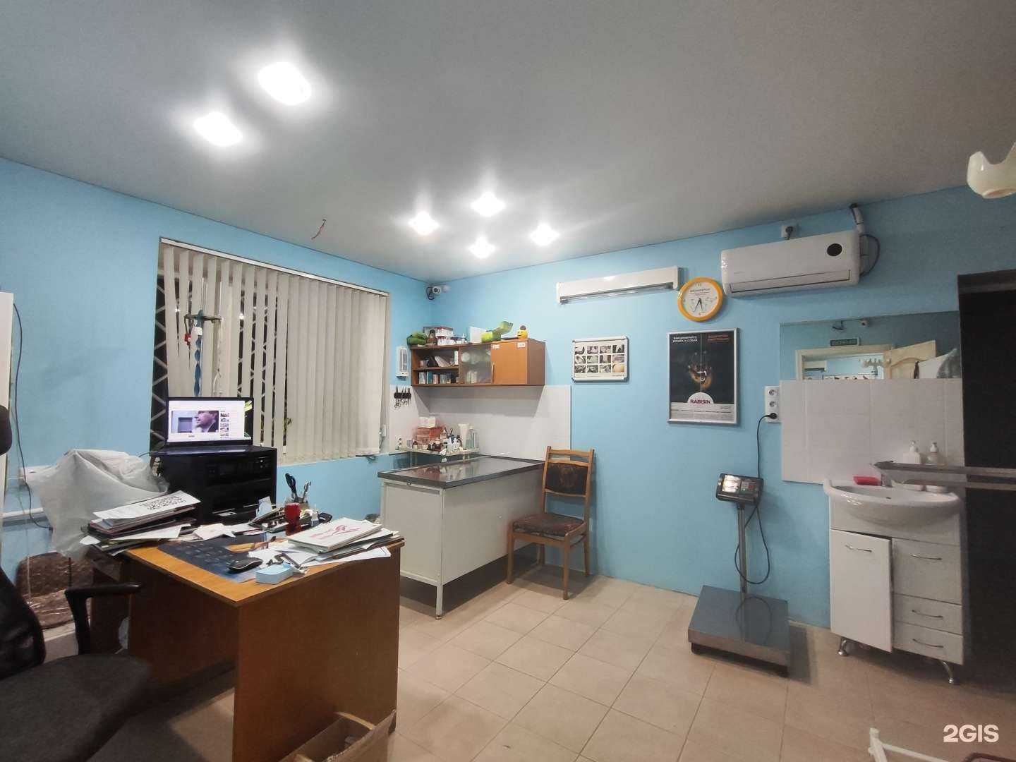 Отзывы на компанию Ветеринарная клиника доктора Михайлова в Смоленске c фото