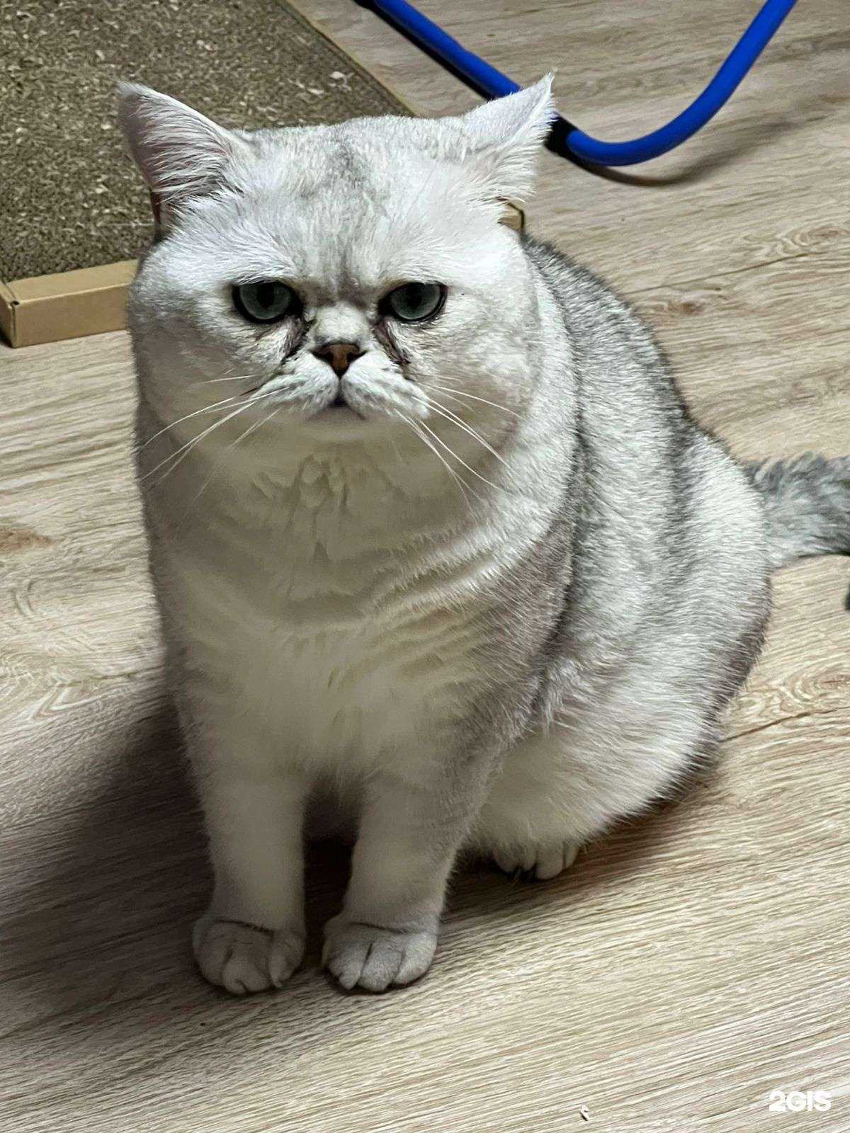 Отзывы на компанию Евровет в г. Новосибирск c фото