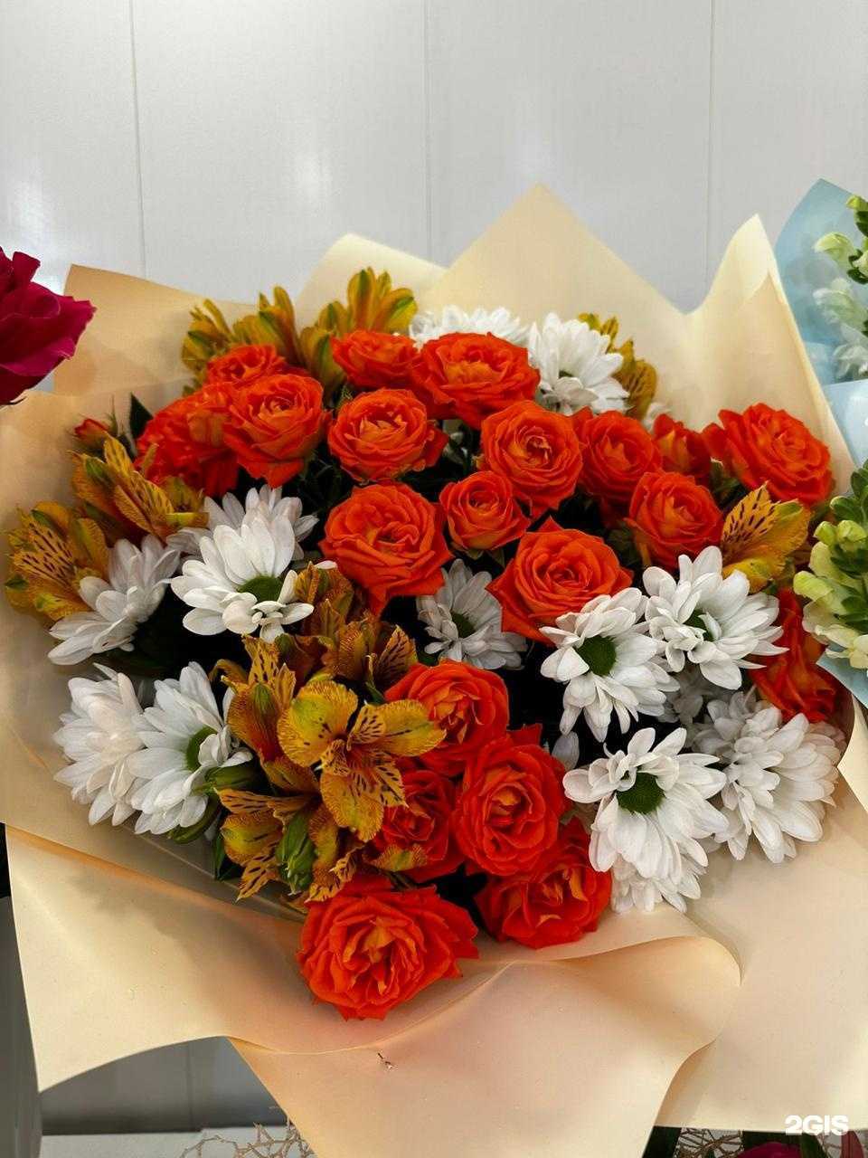 Отзывы на компанию Дон Бутон в Воронеже c фото