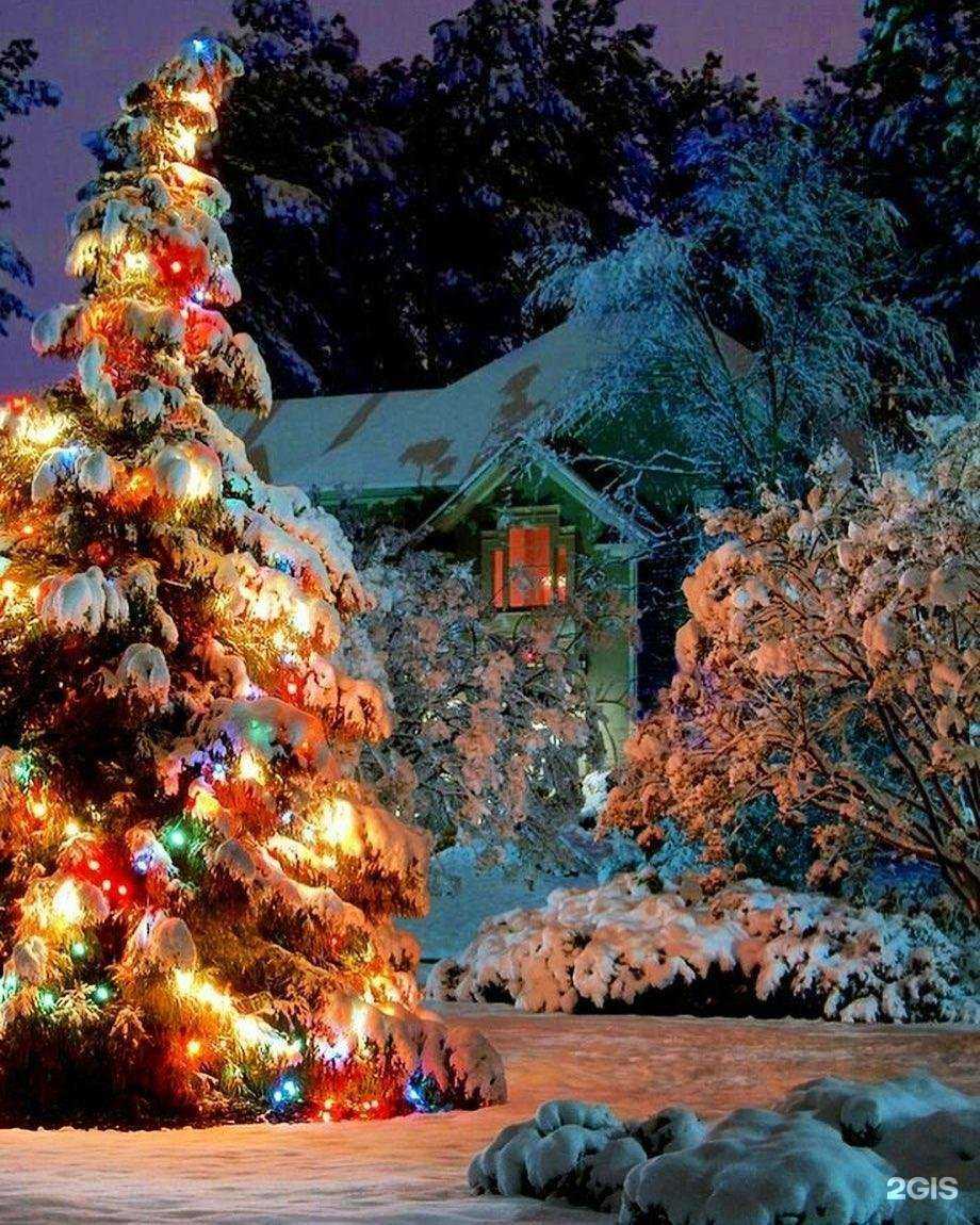 Отзывы на компанию Студия красоты в Мурманске c фото