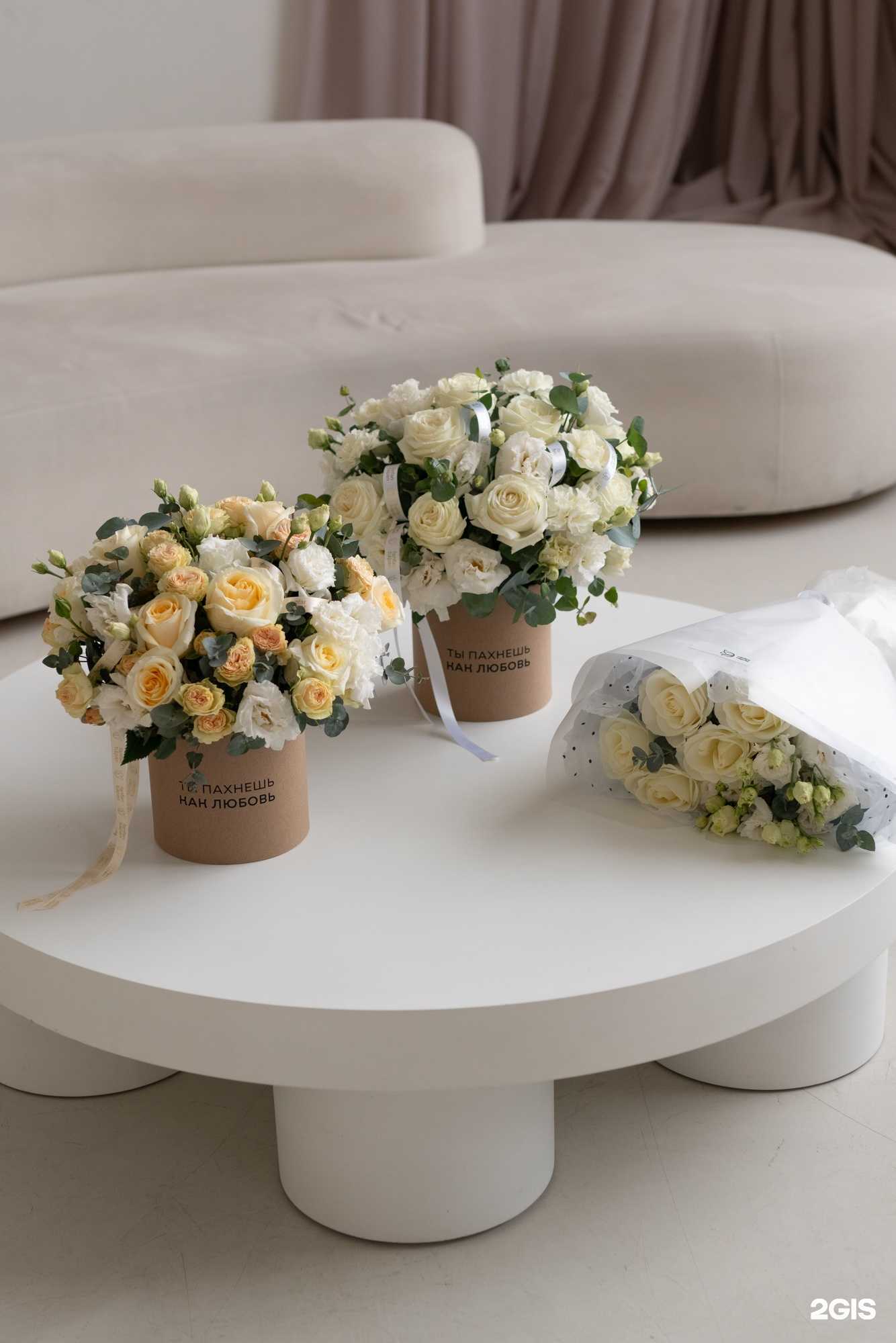 Отзывы на компанию Fan Fan Tulpan в Челябинске c фото