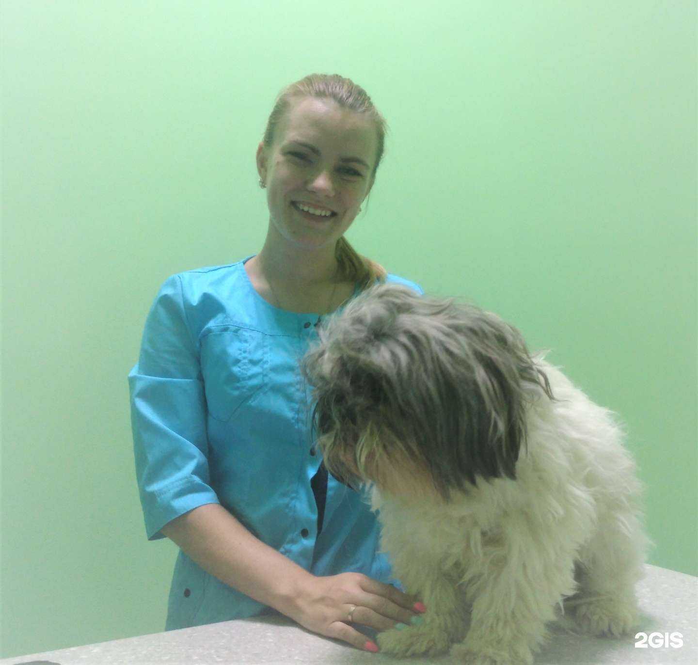 Отзывы на компанию Лакивет в г. Воскресенск c фото