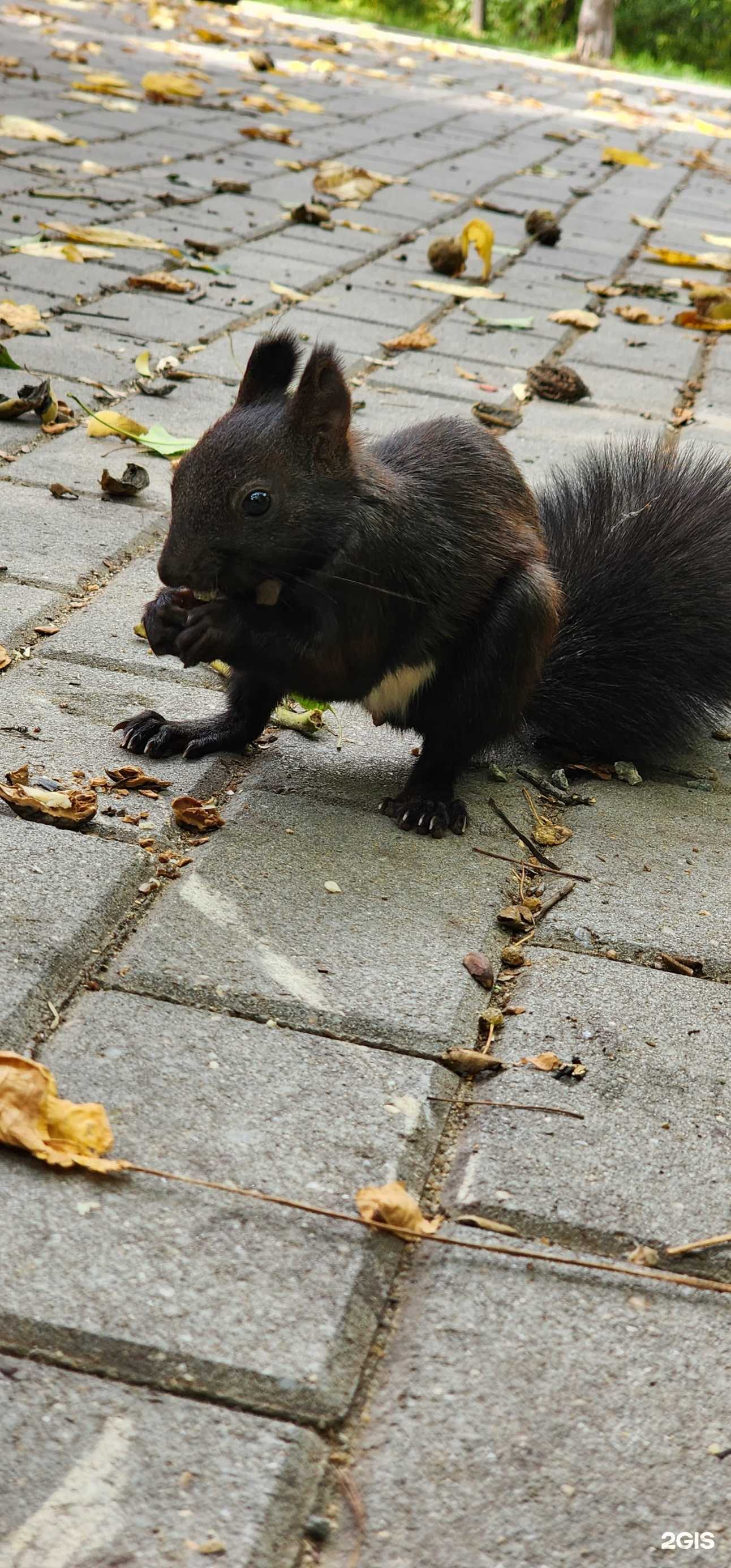 Отзывы на компанию Спарта в Холмске c фото
