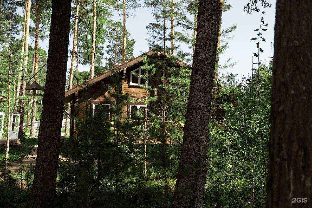 Отзывы на компанию Лес в Сургуте c фото