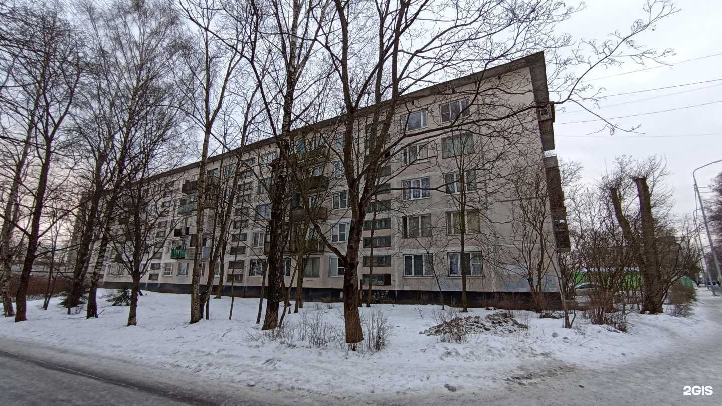 Отзывы на компанию Аурика в Выборге c фото - фотография 2 из 2