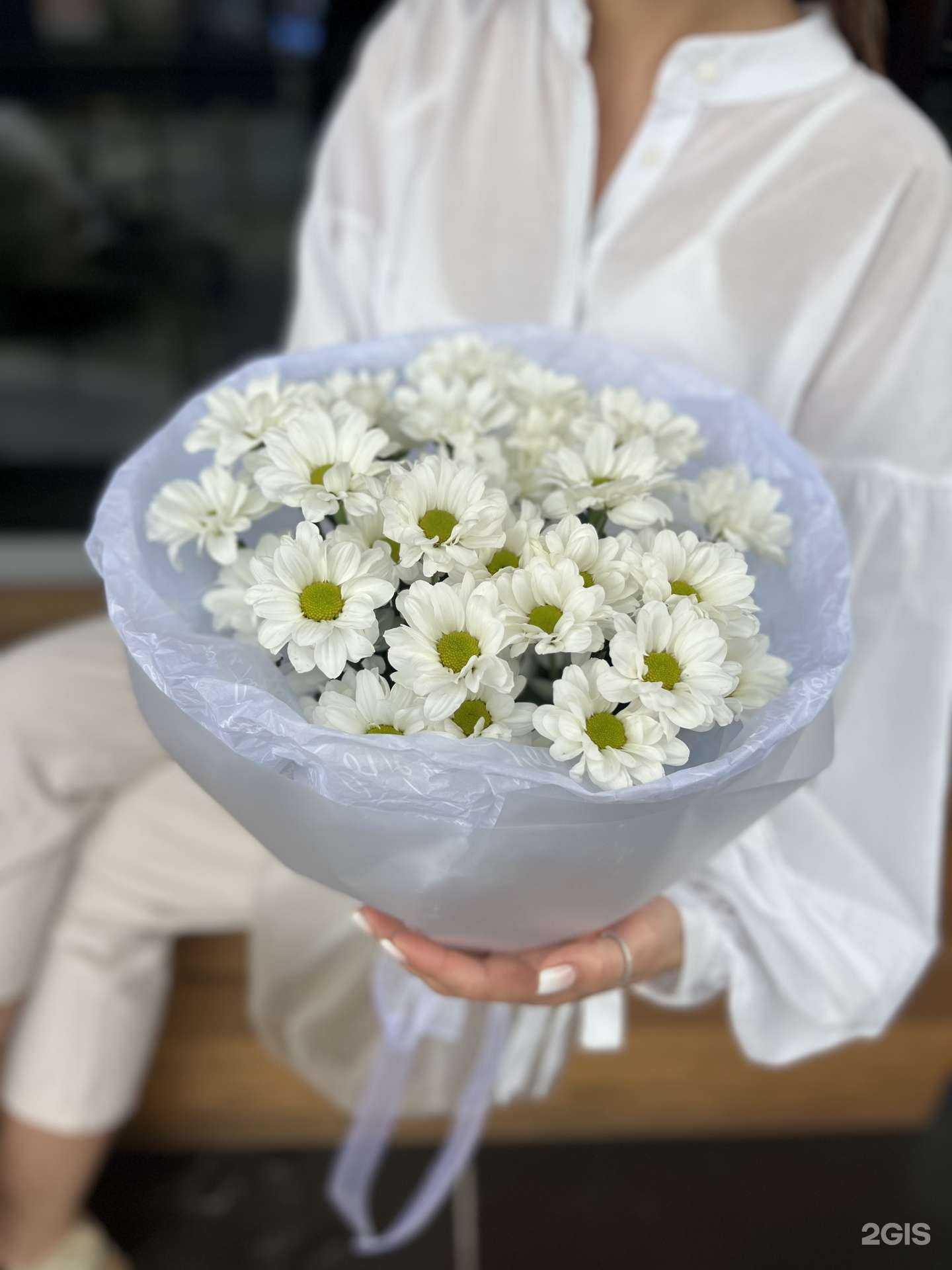 Отзывы на компанию Зеленая орхидея в г. Омск c фото