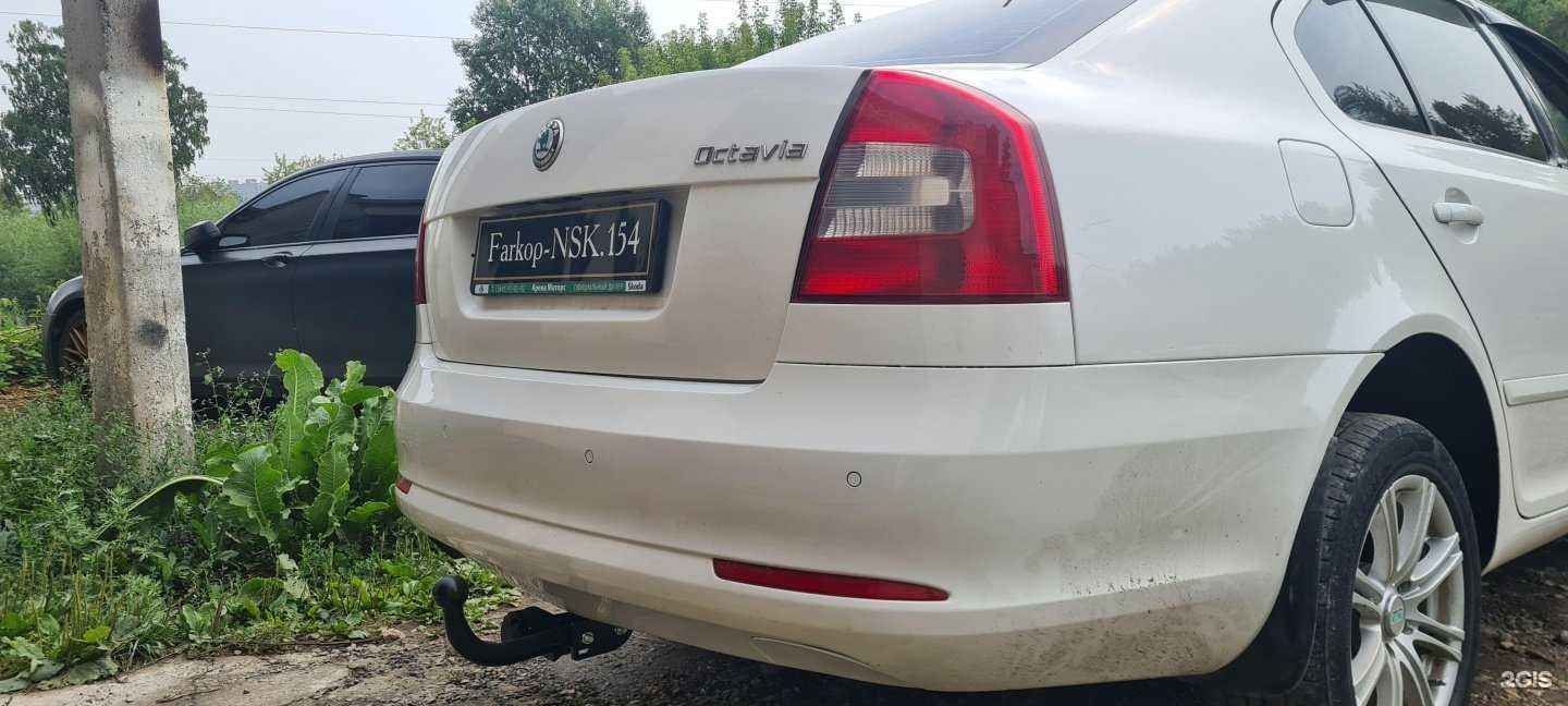 Отзывы на компанию Farkop-Nsk.154 в Новосибирске c фото