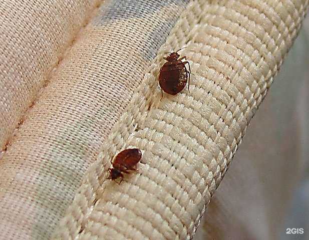 Отзывы на компанию Био-сервис в г. Новосибирск c фото