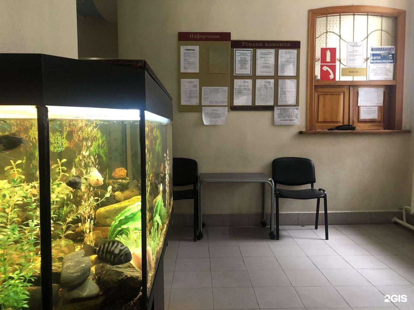 Отзывы на компанию Банно-прачечное хозяйство в Хабаровске c фото