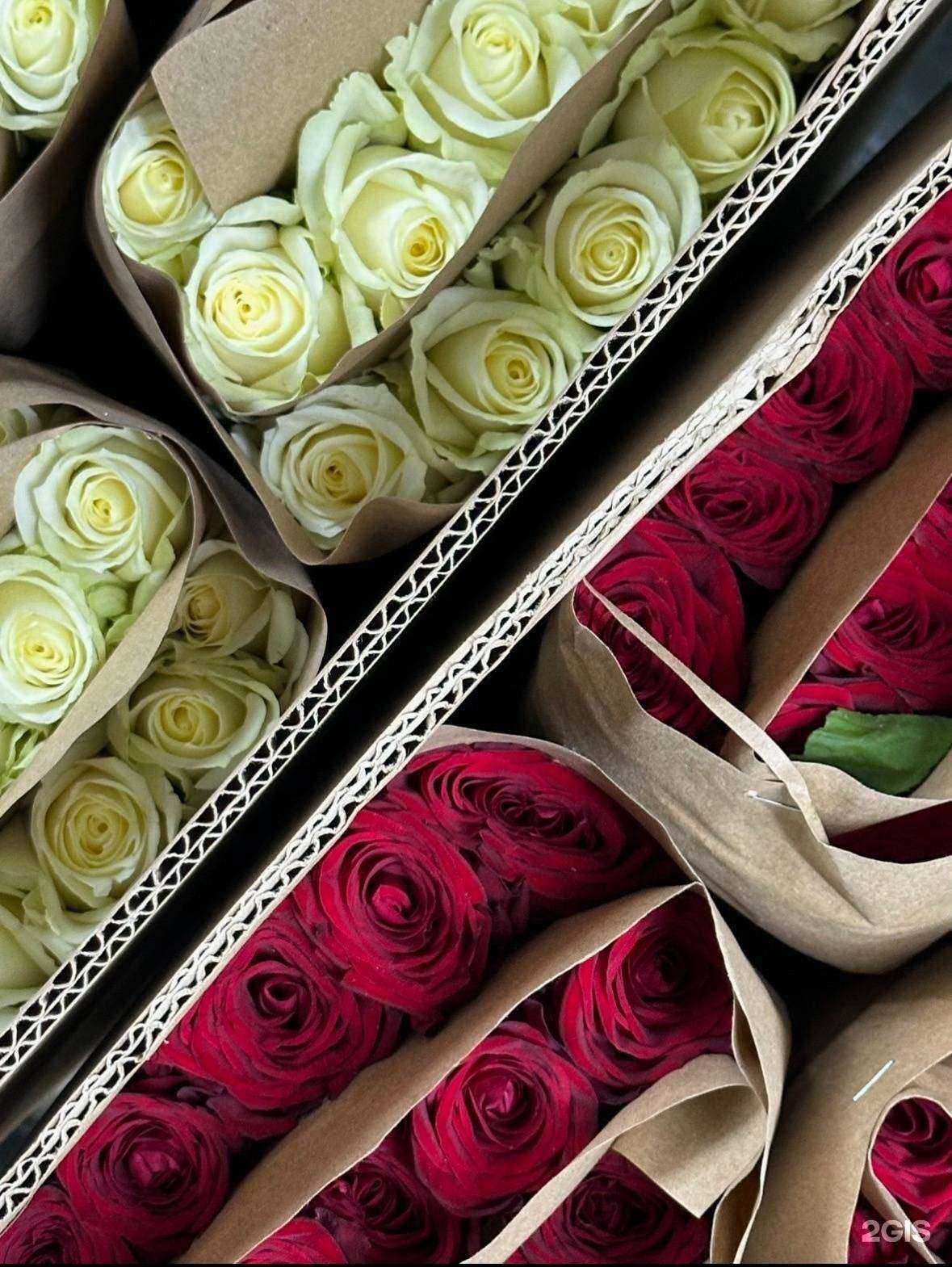 Отзывы на компанию Цветы России в Томске c фото