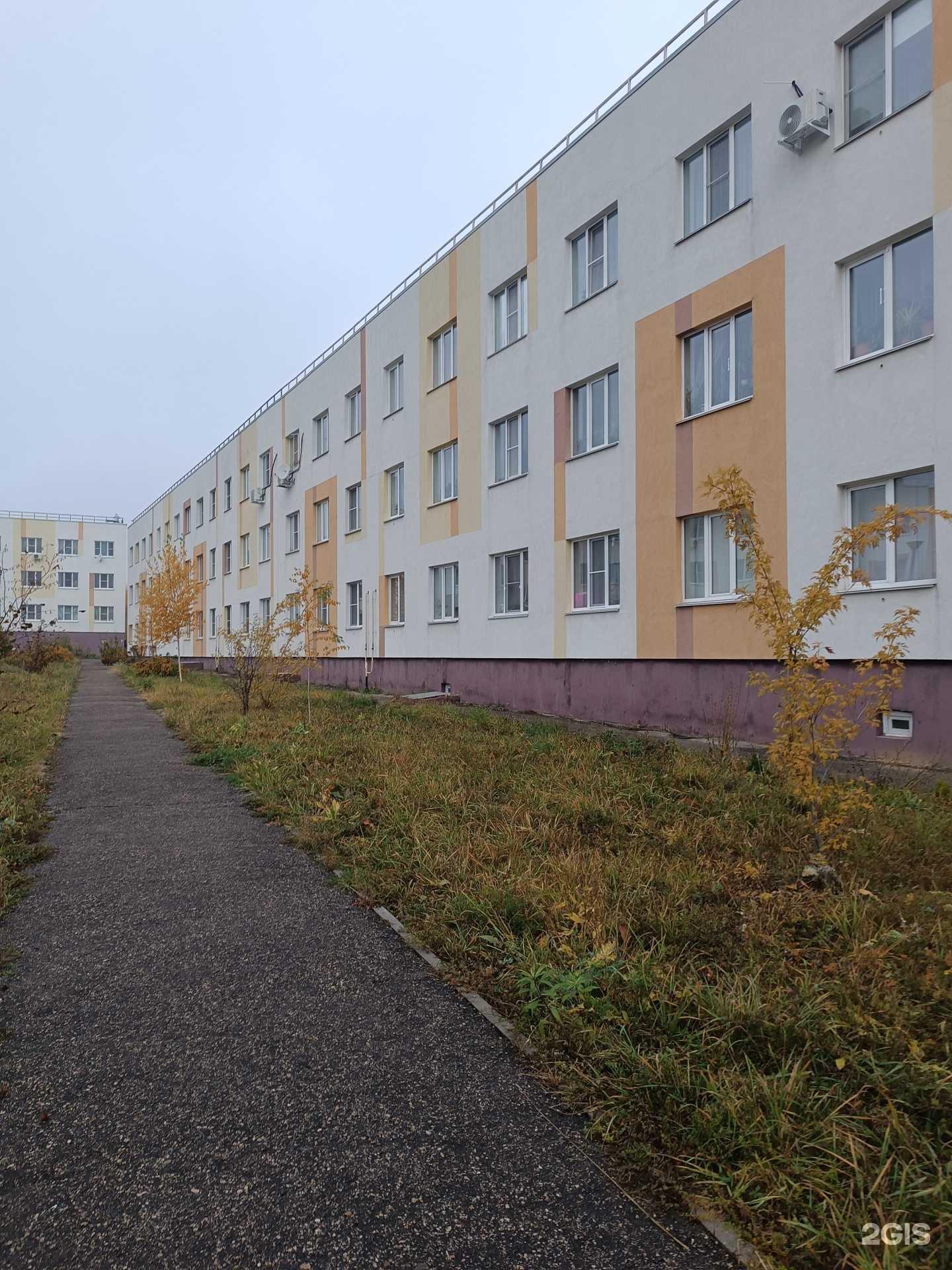 Отзывы на компанию Камелия в г. Нижний Новгород c фото