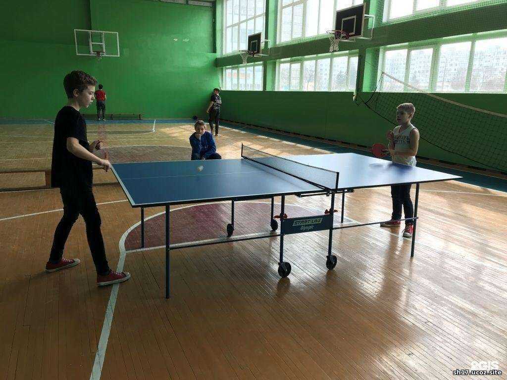 Отзывы на компанию Средняя школа №17 в г. Старый Оскол c фото