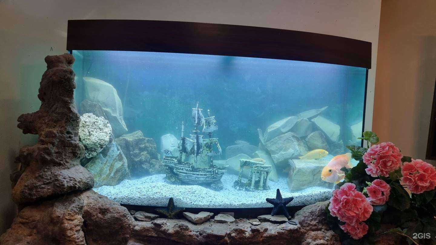 Отзывы на компанию Колибри в Новороссийске c фото