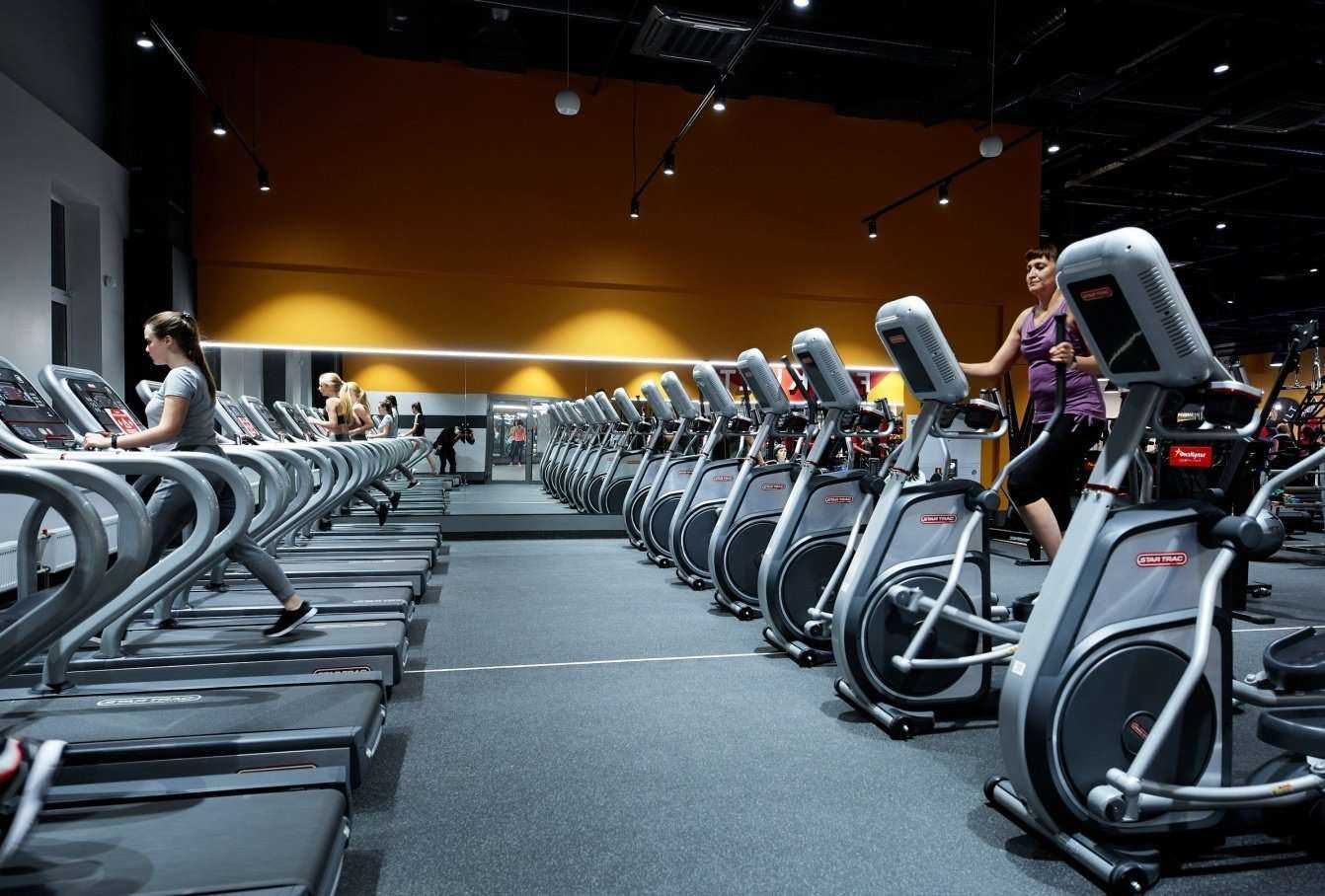 Отзывы на компанию ФизКульт в г. Нижний Новгород c фото