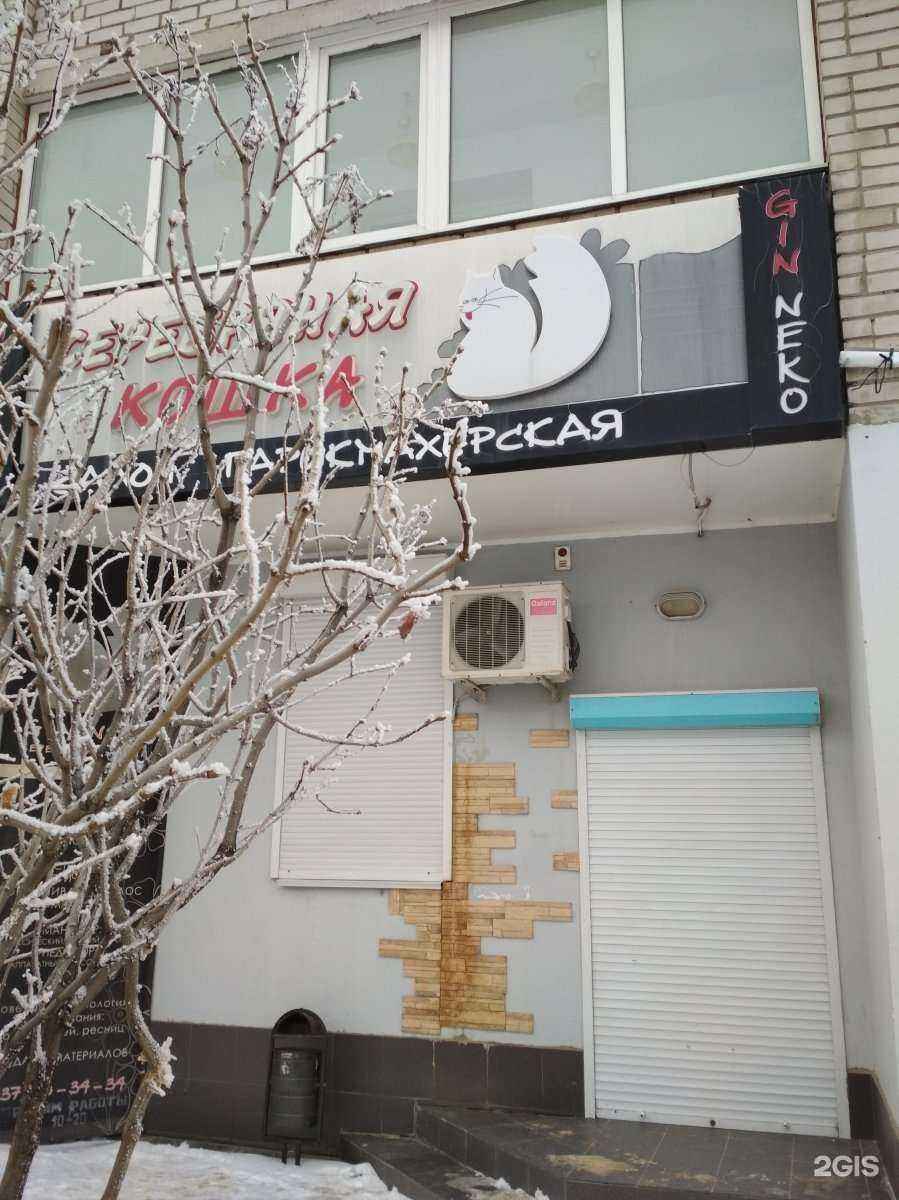 Отзывы на компанию Серебряная кошка в Волгограде c фото