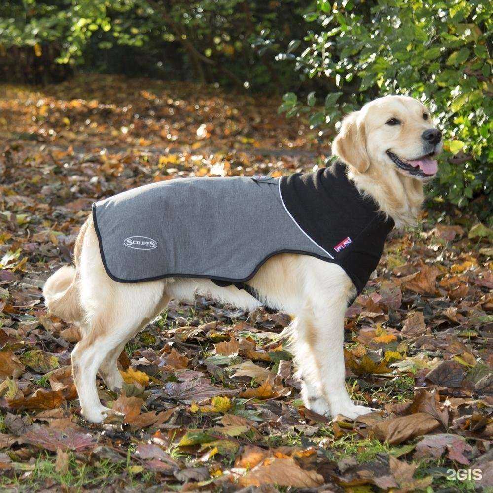 Отзывы на компанию Заповедник в Тюмени c фото