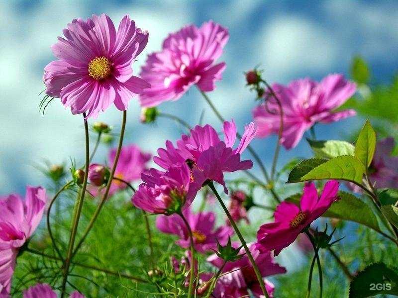 Отзывы на компанию Детский сад №350 в Челябинске c фото