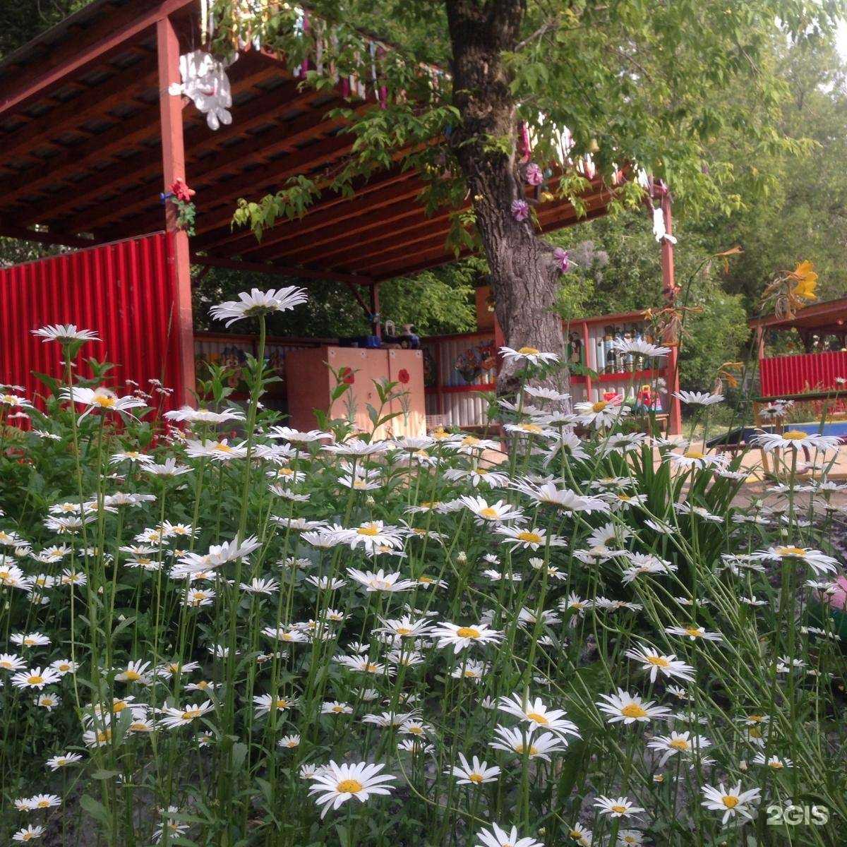 Отзывы на компанию Детский сад №276 в Екатеринбурге c фото