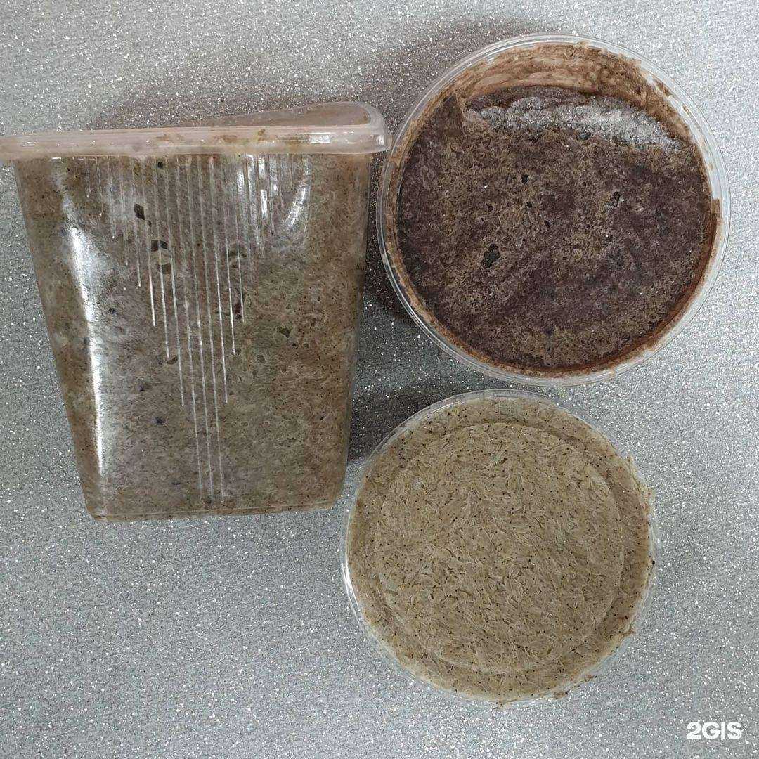 Отзывы на компанию Поплавок в г. Артём c фото