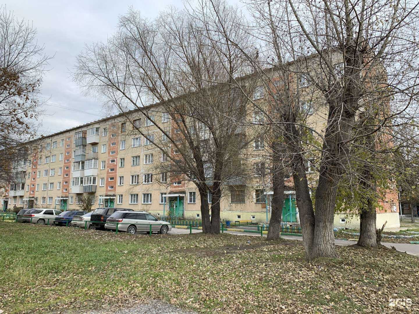 Отзывы на компанию Выездная служба санобработки в Искитиме c фото - фотография 2 из 2