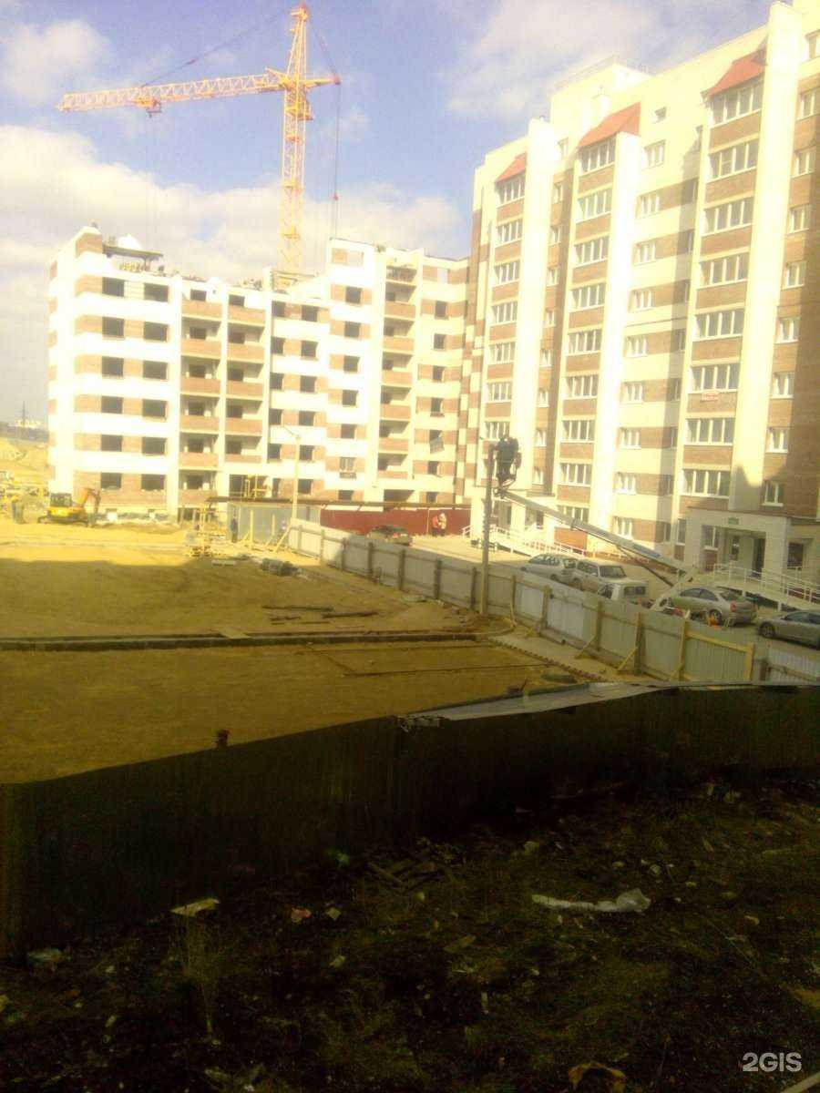 Отзывы на компанию Айболит в Смоленске c фото - фотография 2 из 2