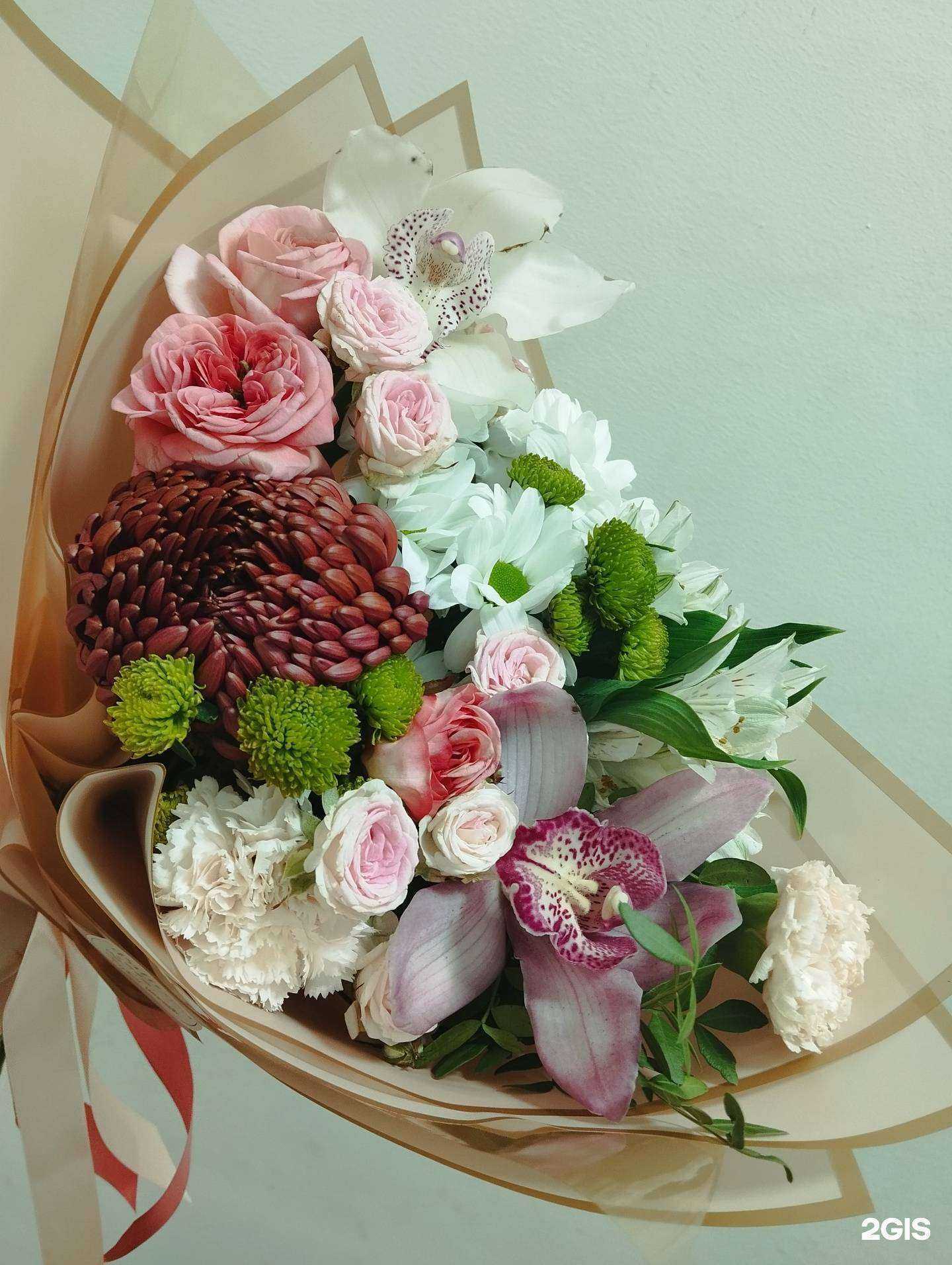 Отзывы на компанию Palitra в Елабуге c фото