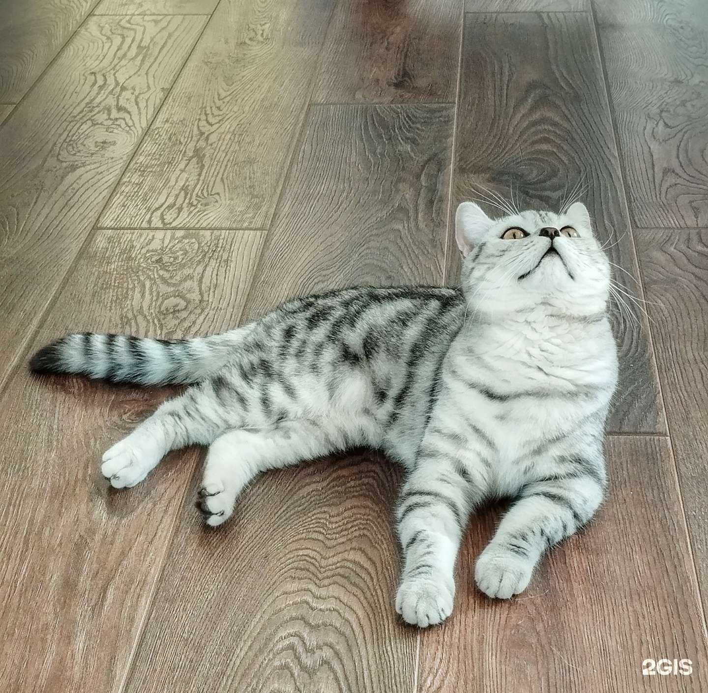 Отзывы на компанию Добрые руки в г. Уфа c фото