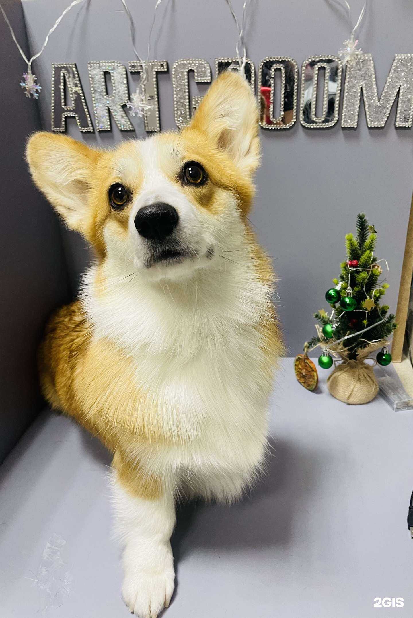 Отзывы на компанию ArtGroom в г. Казань c фото