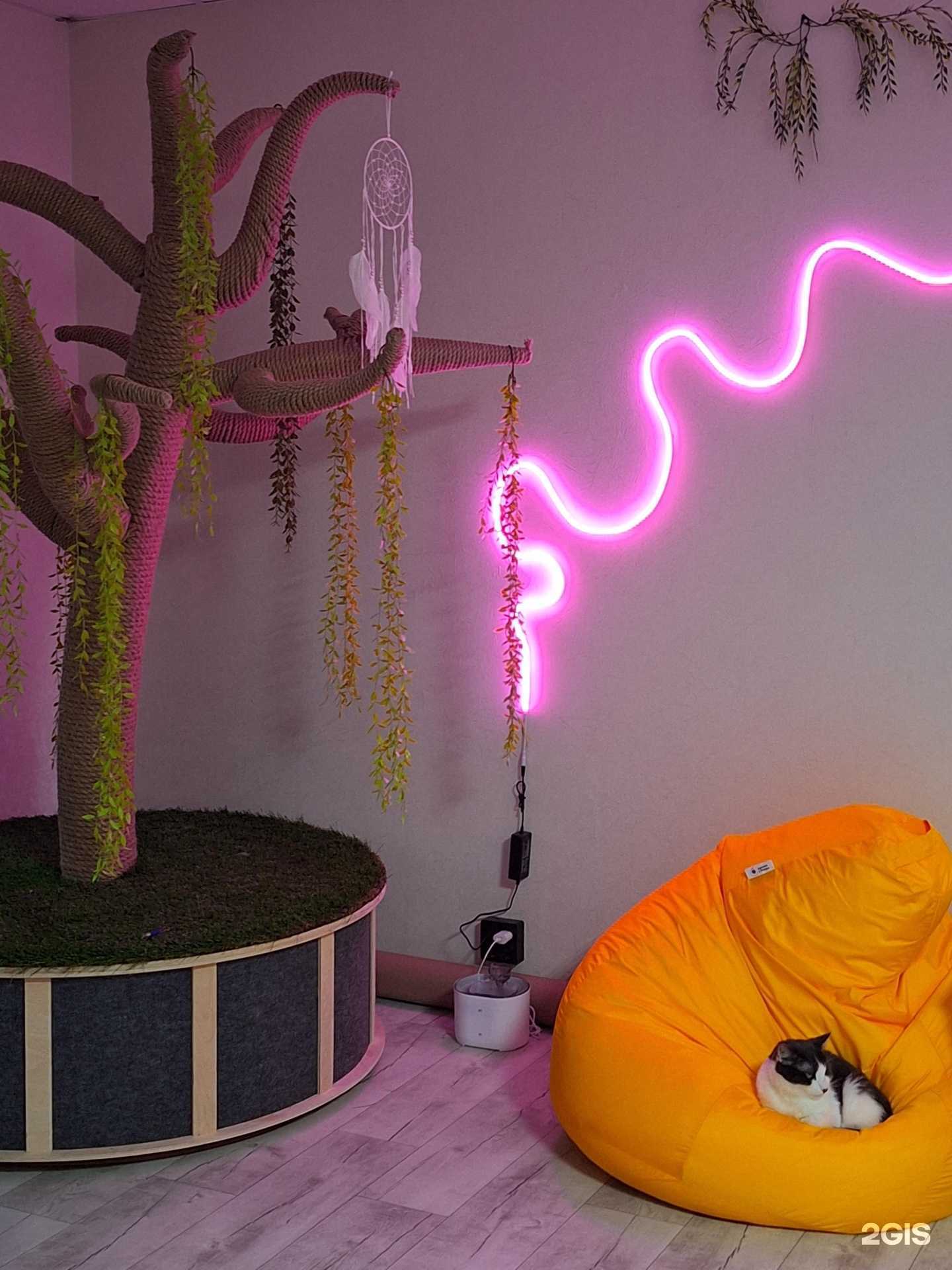 Отзывы на компанию Коты&Гвозди в Йошкар-Оле c фото