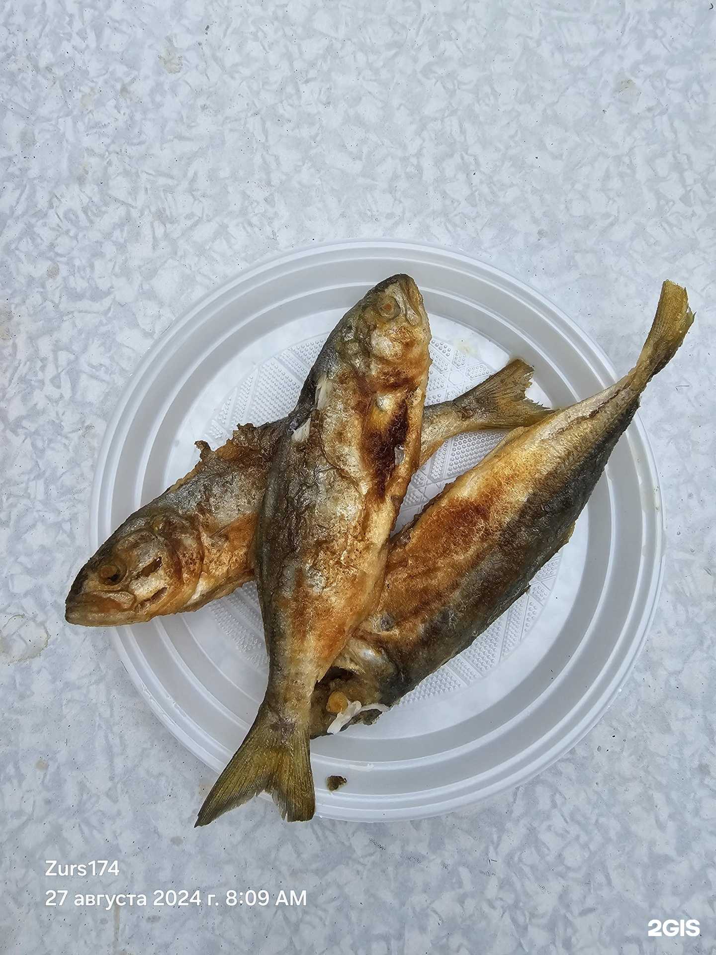 Отзывы на компанию Рыбоlove в Анапе c фото