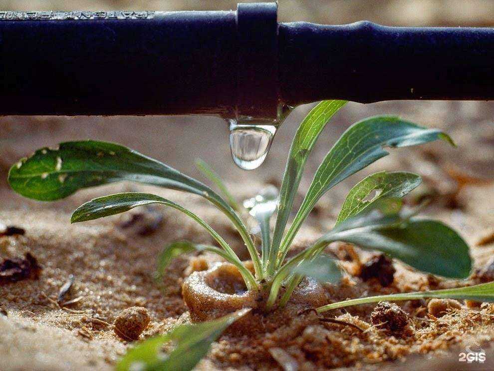 Отзывы на компанию Хоzобоz в г. Анапа c фото