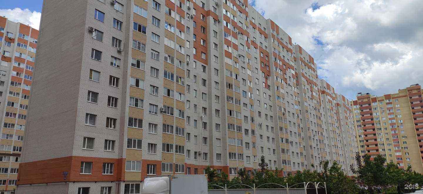 Отзывы на компанию Студия Жерлициной Валентины в Ставрополе c фото - фотография 2 из 2