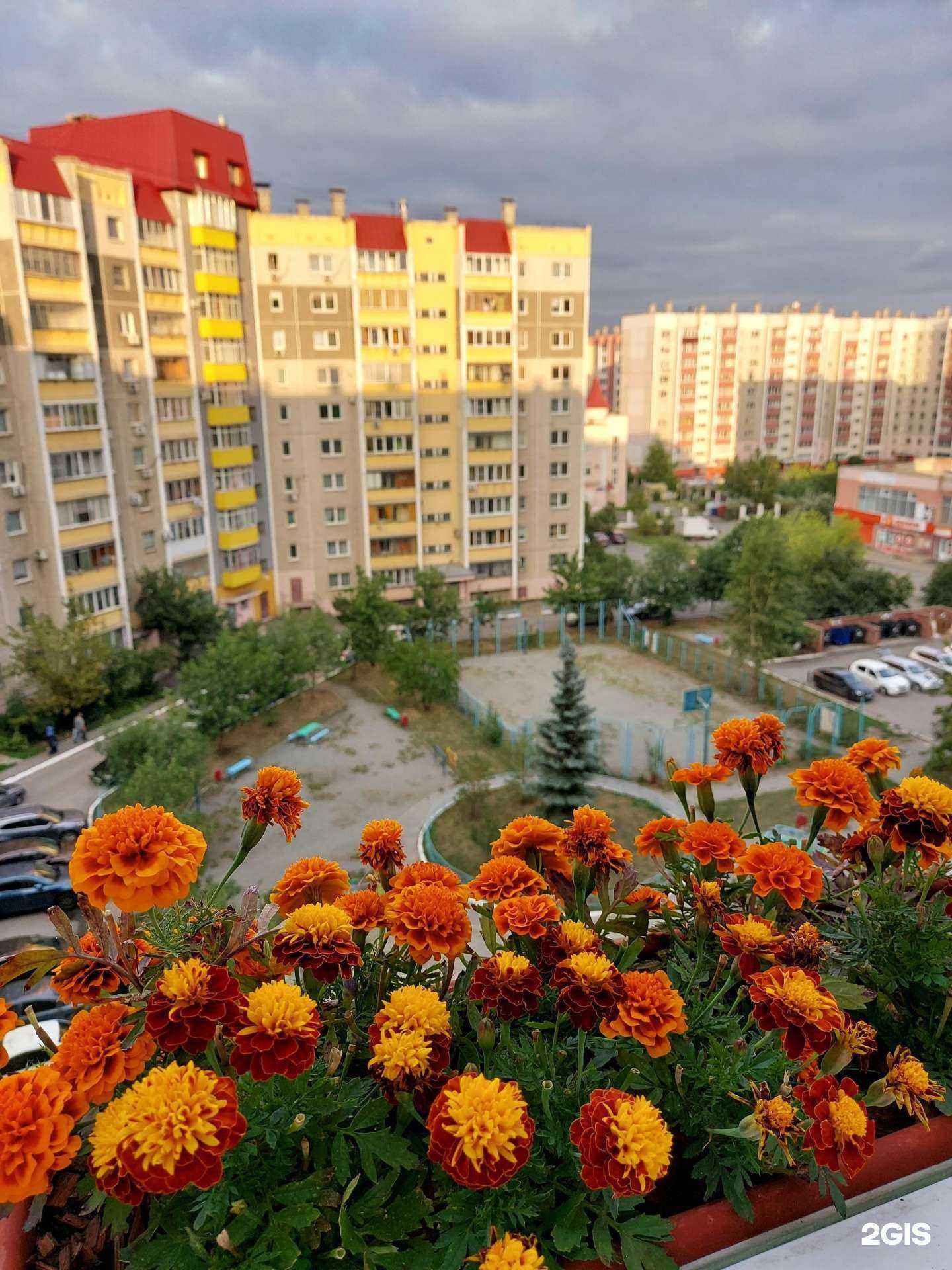 Отзывы на компанию Ортолэнд в Челябинске c фото - фотография 2 из 2