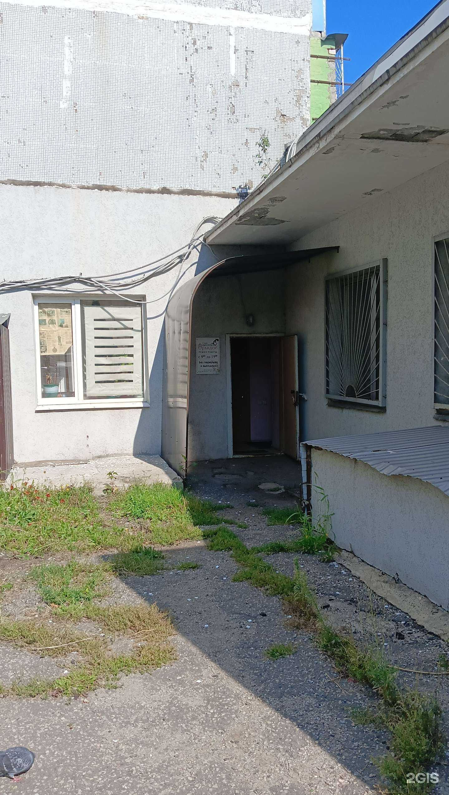 Отзывы на компанию Орхидея в Старом Осколе c фото