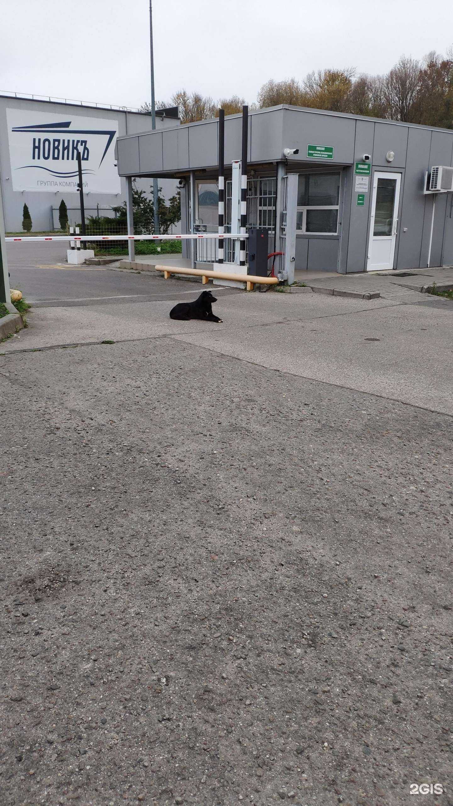 Отзывы на компанию Бвб Альянс в Калининграде c фото