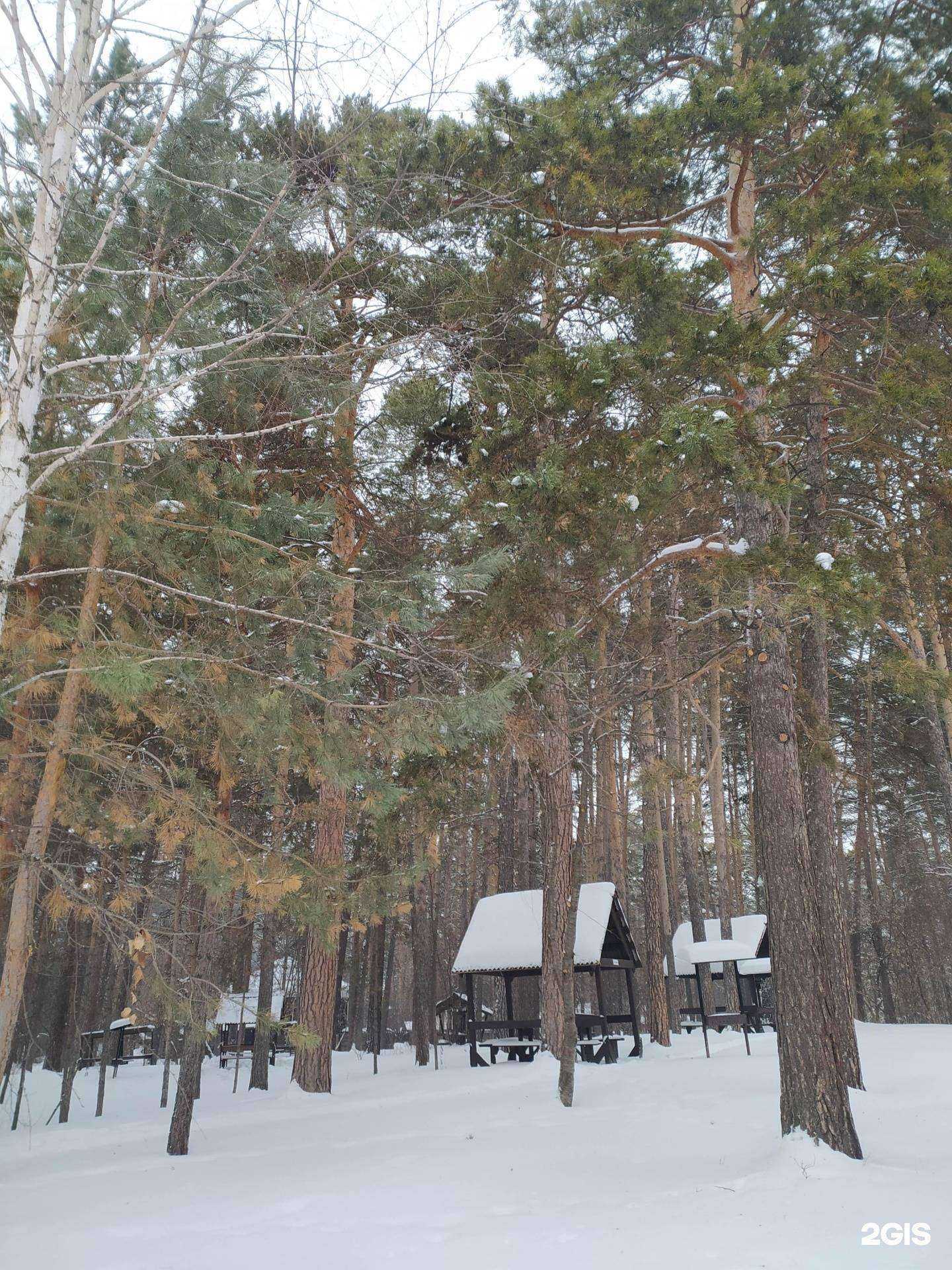 Отзывы на компанию Беседка в Новосибирске c фото - фотография 2 из 2