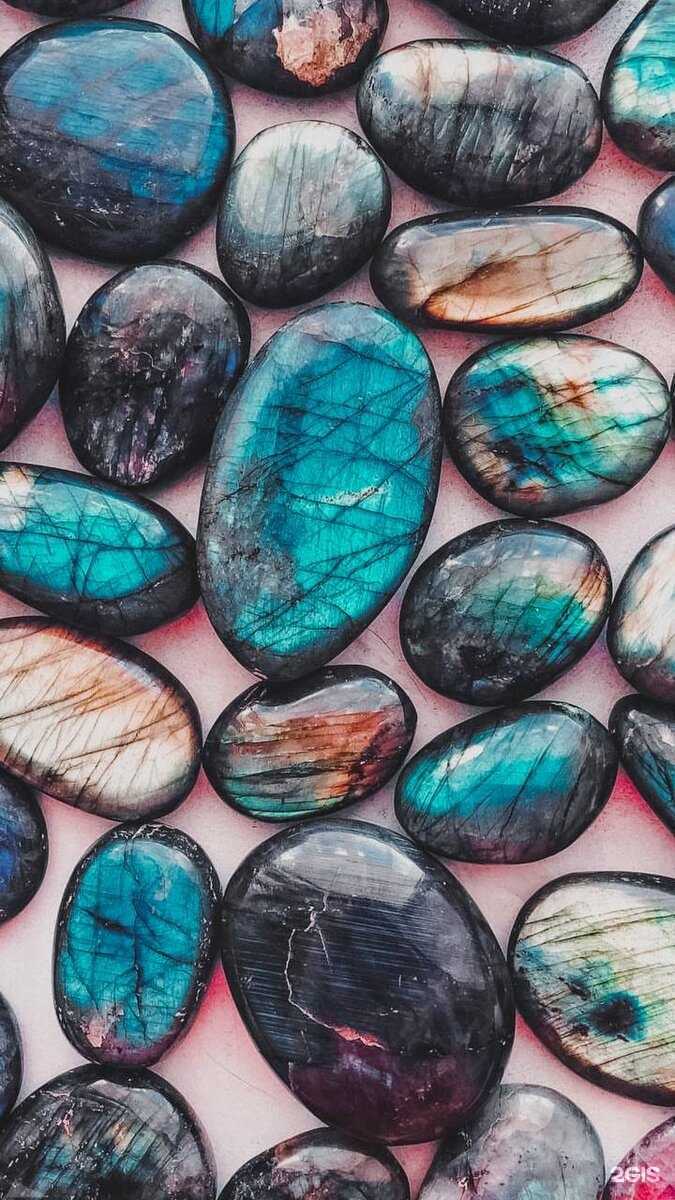 Отзывы на компанию Ратник в Йошкар-Оле c фото