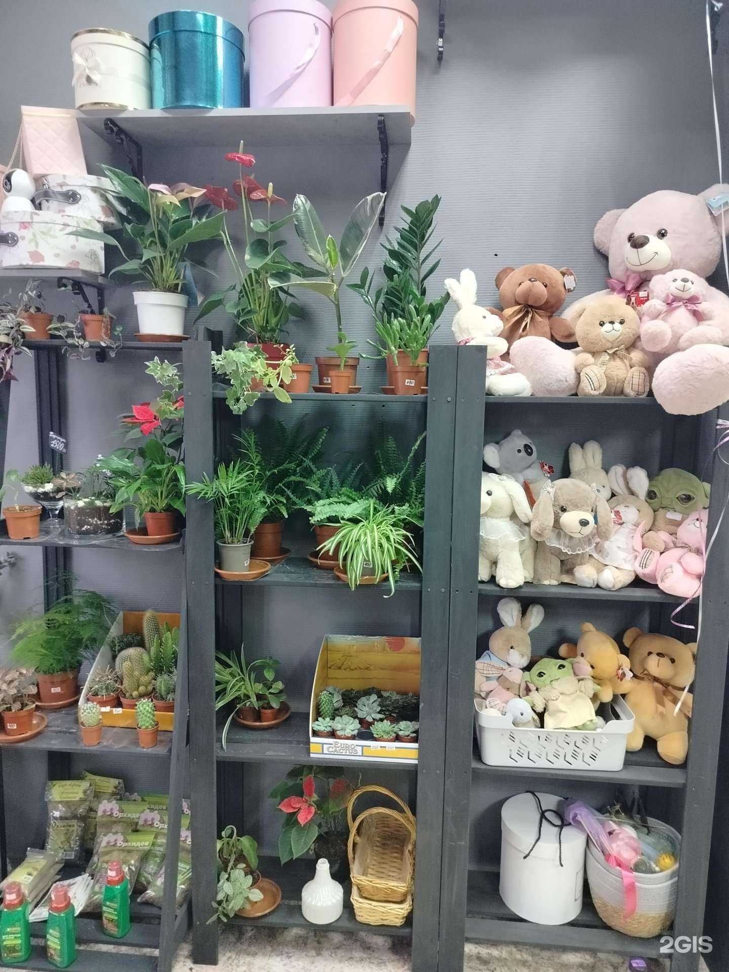 Отзывы на компанию Цветочная мастерская Анны Ботиной в г. Подольск c фото