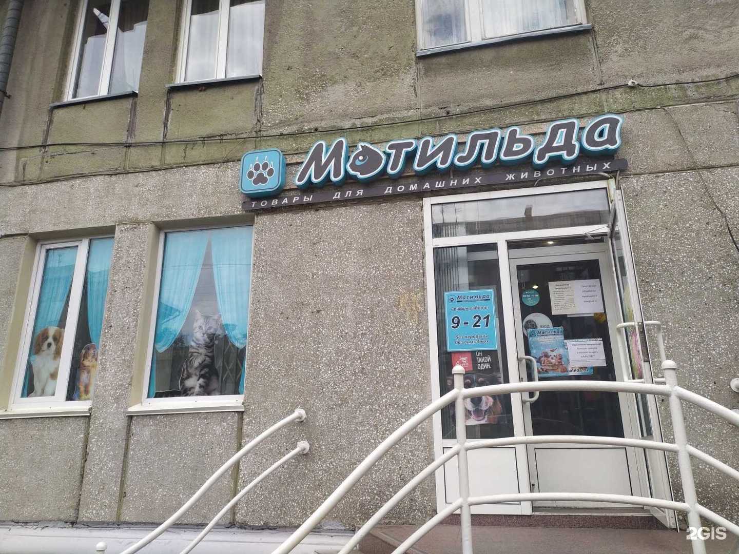 Отзывы на компанию Матильда в Магнитогорске c фото