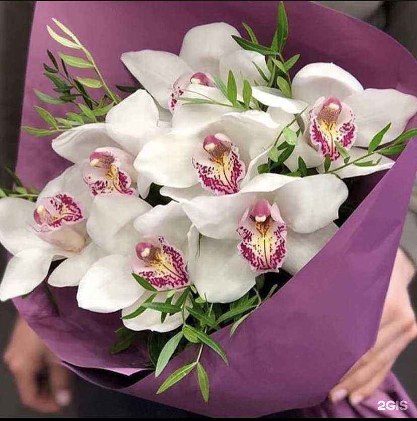 Отзывы на компанию Амарант в Туле c фото