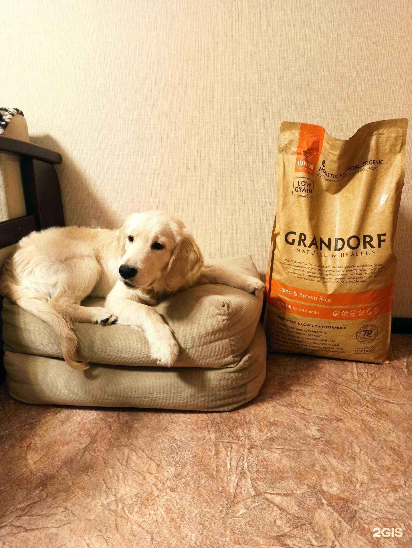 Отзывы на компанию Зверополис в г. Воронеж c фото