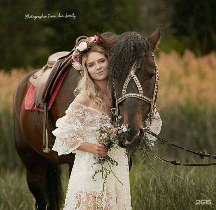 Отзывы на компанию Дом белой лошади в г. Ростов-на-Дону c фото