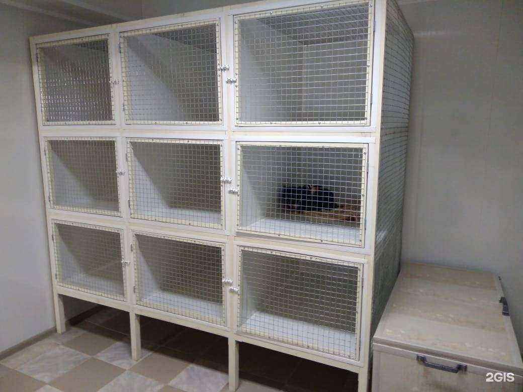 Отзывы на компанию Сова в Тюмени c фото