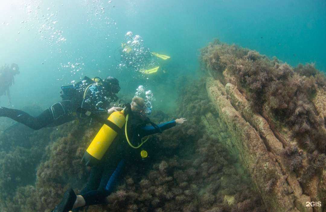 Отзывы на компанию Nirvana в г. Сочи c фото